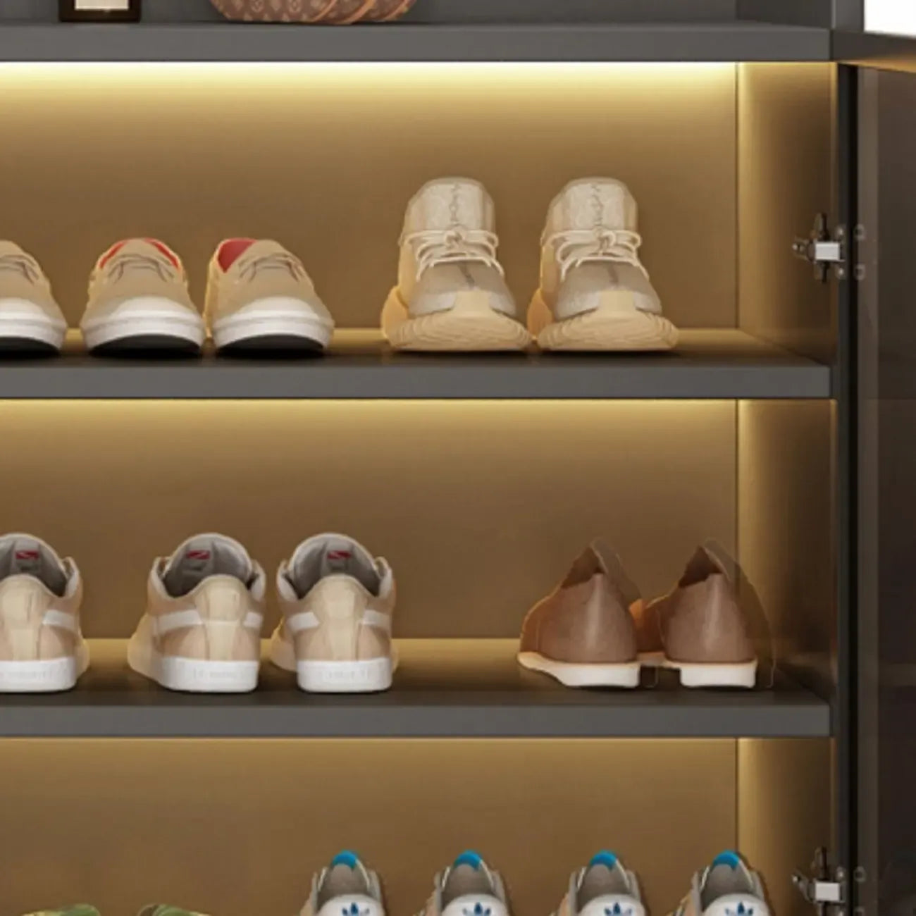 Meuble à chaussures éclairé par LED avec étagères réglables Portes transparentes
